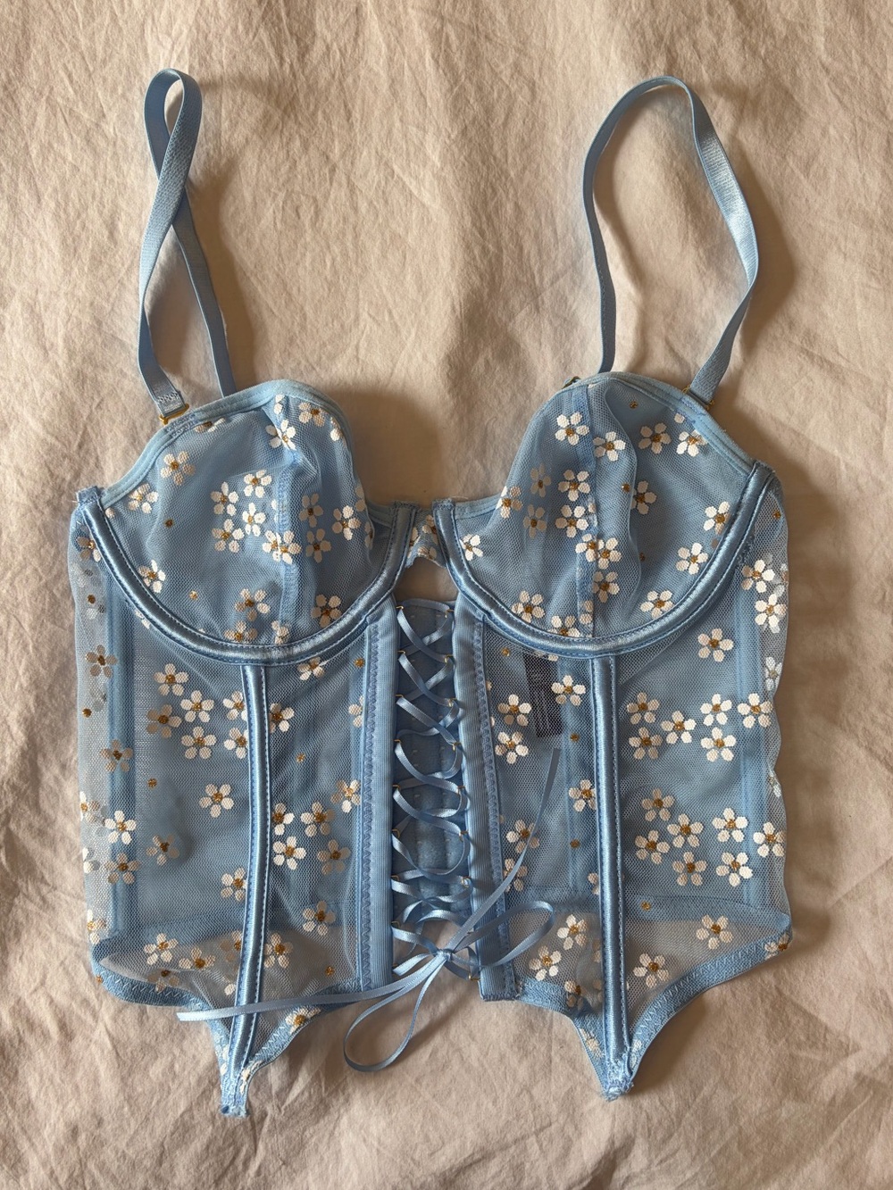 Blue Corset